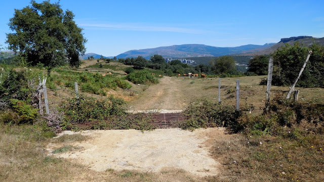 Vuelta a Puentedey MTB