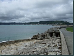 t_DSCF2703