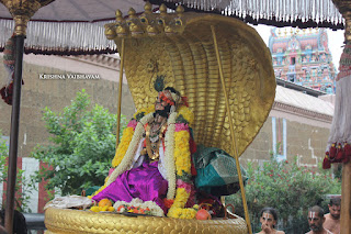 Sri Krishna Jayanthi, Kutty, Kannan, Purappadu,2016, Video, Divya Prabhandam,Sri Parthasarathy Perumal, Triplicane,Thiruvallikeni,Utsavam,