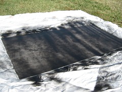 IMG_0617 IMG_0617