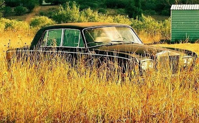 abandoned cars