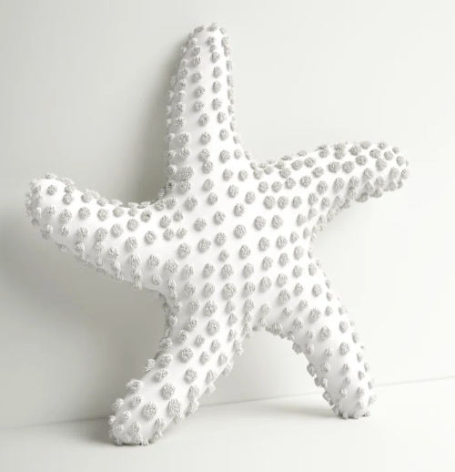 Starfish Shaped Pillows
