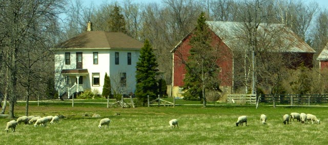 P1040951