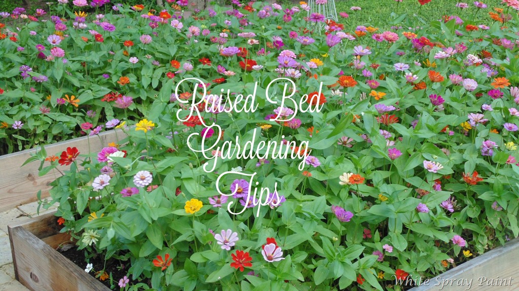 [Raised-Bed-Gardening-Tips4.jpg]