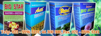 bacteria powder for fecal, bubuk bakteri pengurai tinja, bakteri penghancur feses, sedot wc, wc mampet, wc meluap, septic tank penuh, biotech, biostar, bio enzymes, biogreen, bio antik, septic tank biotech ramah lingkungan, modern dan baik