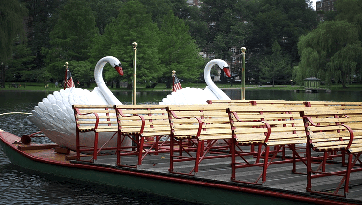 Swan Boats Boston Massachusetts