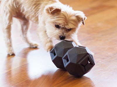 Odin Dog Treat Puzzle Toy, Give Your Dog A Mental And Physical Exercises With Reward