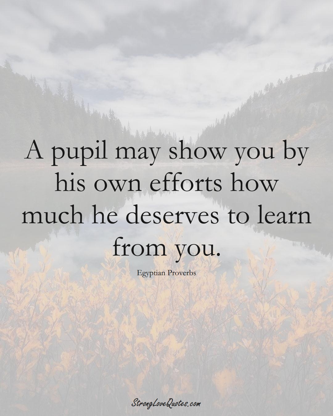 A pupil may show you by his own efforts how much he deserves to learn from you. (Egyptian Sayings);  #MiddleEasternSayings