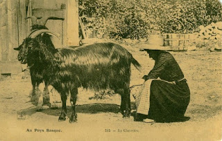 PAYS BASQUE 1900