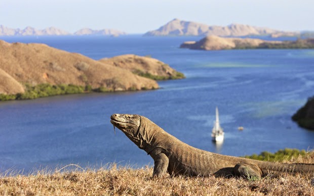 Pulau Komodo Nusa  Tenggara  Timur