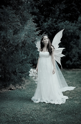 Fairy Tales Wedding Dress