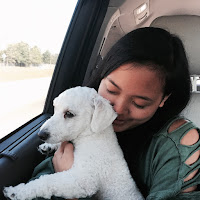 Lauren Banawa, May Moments of the Month, mini poodle, road trip