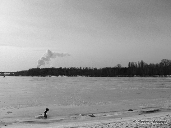 Фотограф Максим Яковчук: Ось така в мене якось видалась прогулянка вздовж Русанівської набережної та Парку Прибрежний!