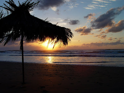 nature wallpaper download