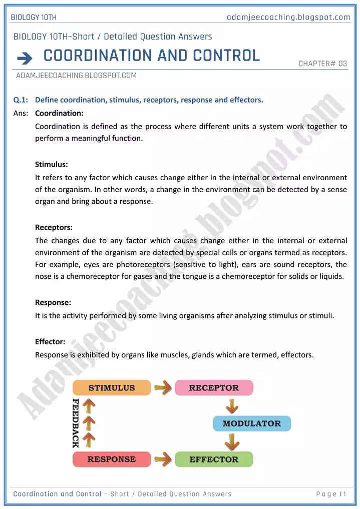 coordination-and-control-short-and-detailed-answer-questions-biology-10th