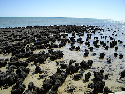 Shark Bay