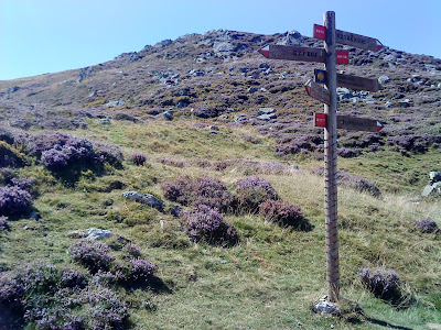 St. James Way: from St Jean Pied de Port to Roncesvalles / El Camino Francés por los Pirineos a Roncesvalles / Fotos do Camiño por Roncesvalles