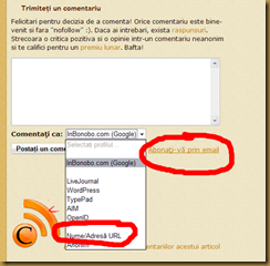 20090315-BloggerCommentFormInBonoboOptions