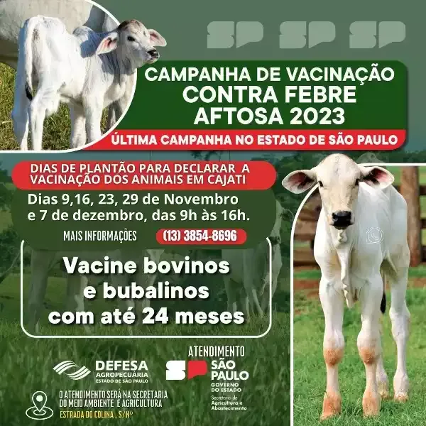A Campanha de Vacinação da Febre Aftosa para Bovinos e Bubalinos até 24 meses será realizada em Cajati