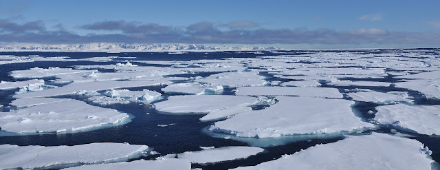  An oasis inwards the hostile Arctic Ocean sustained marine life as well as sea circulation during t For You Information - Scientists demo polar 'polynya' supported marine life during final Ice Age