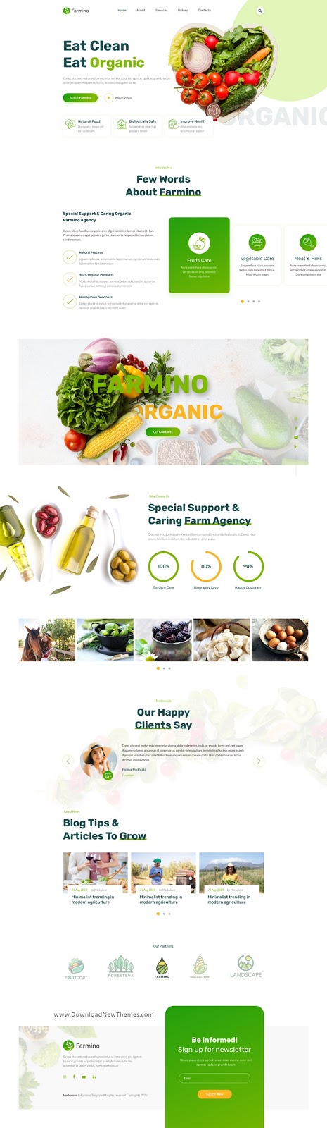 Best Organic Food Template for Sketch