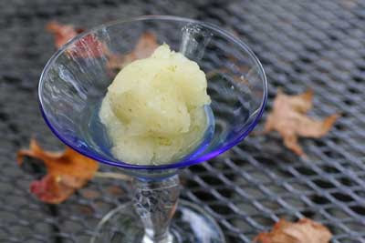 frozen margarita sorbet