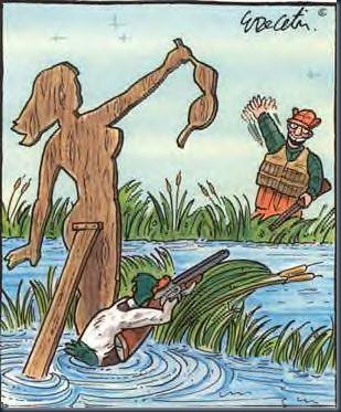 Duck