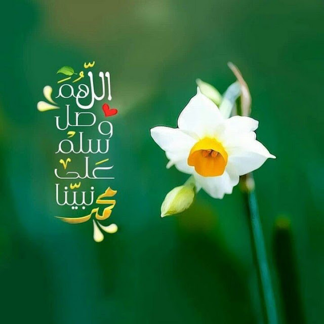 Darood e Pak,Flower Wallpaper,Darood Sharif,Islamic Wallpaper,صلاۃ النبی ﷺ،,Salat ul Nabi,