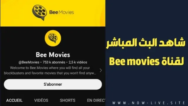 شاهد قناة Bee movies لعرض أفلام الأكشن العربية و البث المباشر