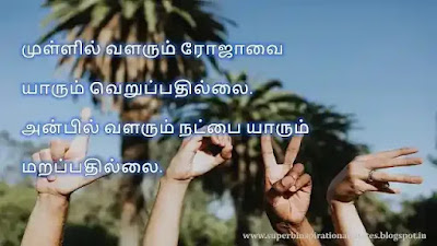 Best Friendship Quotes in Tamil 50