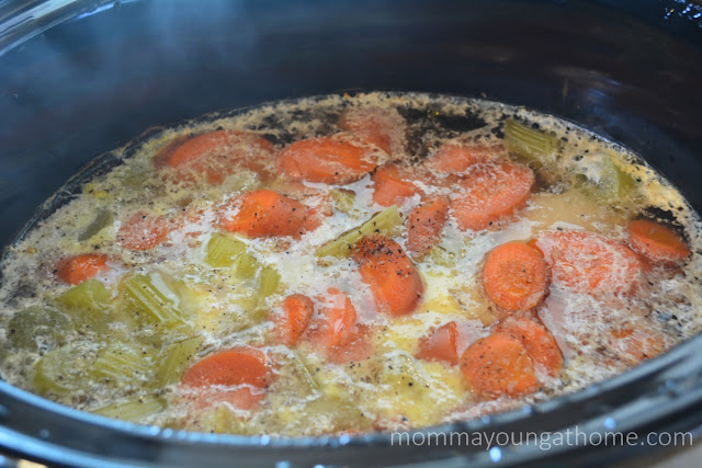 Slow Cooker Chicken and Dumplings