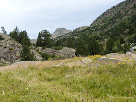 HRP Baborte - Certascan