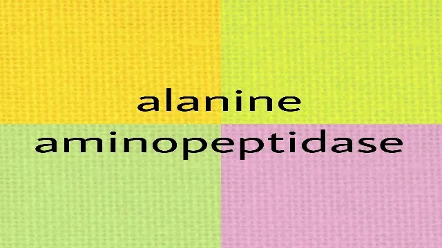 فحص alanine aminopeptidase