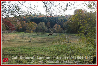 This rare opportunity of owning a wonderful equestrian property for sale in Bridgewater CT is now available to all investors, developer, or someone looking for a prime piece of land.