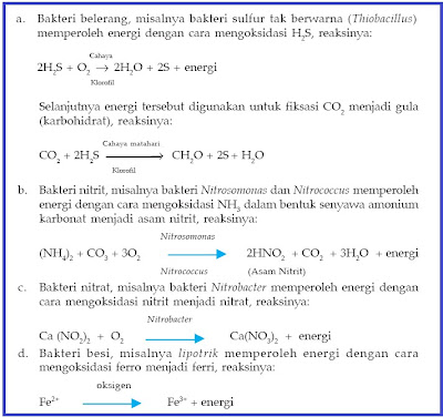 Contoh Asimilasi Sintesis - Contoh Sur