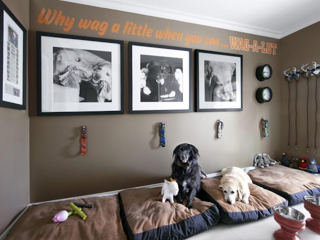 Guest blog: How to Design the Perfect Pet Nook for Your Furry Friend