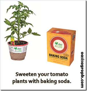 How to Make a Plant Grow With Baking Soda