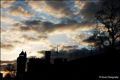 Cardiff Castle and Tree