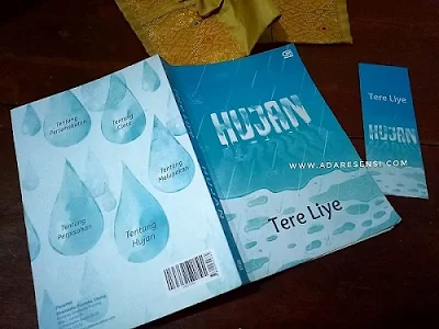 resensi novel tere liye