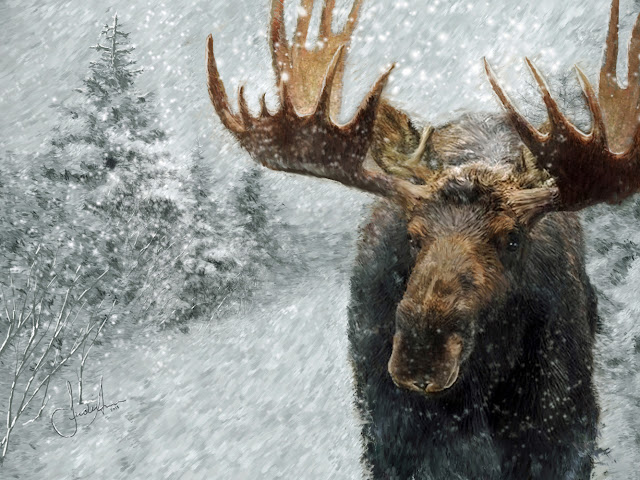 Moose In Winter Painting