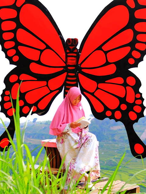 Spot Foto Kupu-kupu, Ujung Kulon Janggan. Sumber Foto (https://www.instagram.com/ujungkulonjanggan/)