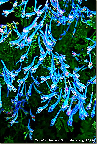 DSC_0381_edited-1