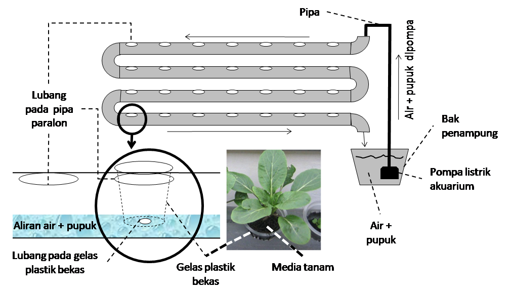 berikut cara menanamhidroponik dengan cara paling sederhana :
