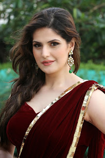 zarine khan glamorous in saree cute stills