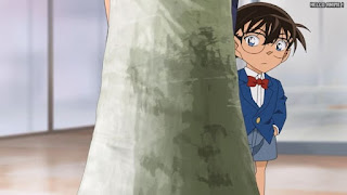 名探偵コナンアニメ 第1064話 夢見る貴婦人、最後の恋 | Detective Conan Episode 1064