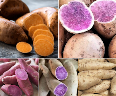 sweet potato is not good for dogs and cats