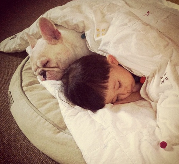 A little boy and his french bulldog are best friends, friendship between boy and his dog, cute dog pictures