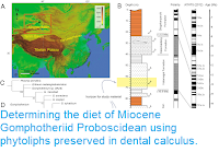 https://sciencythoughts.blogspot.com/2018/05/determining-diet-of-miocene.html