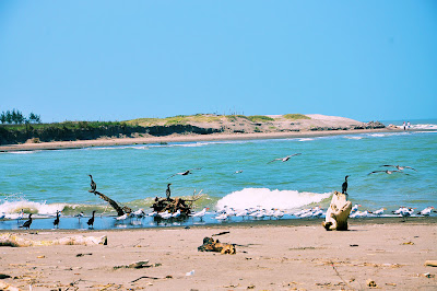 fotos de la playa en casitas y costa esmeralda veracruz