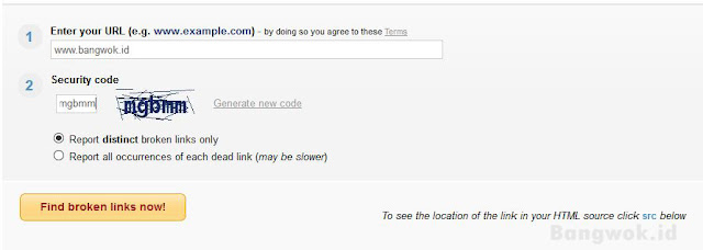 Gambar 2 Cara Cek Broken Link Online
